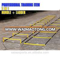 2in1 agility ladder /hurdle pro combined product